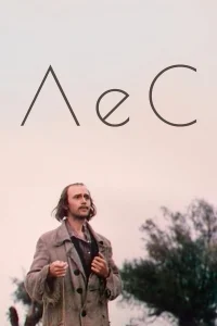  Лес 